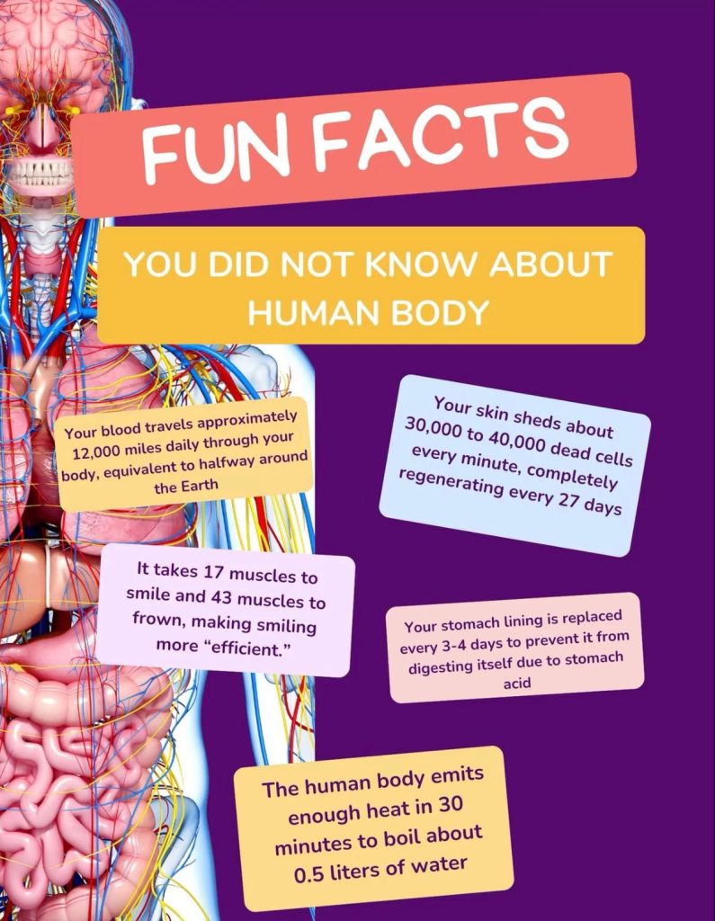 Fun Facts