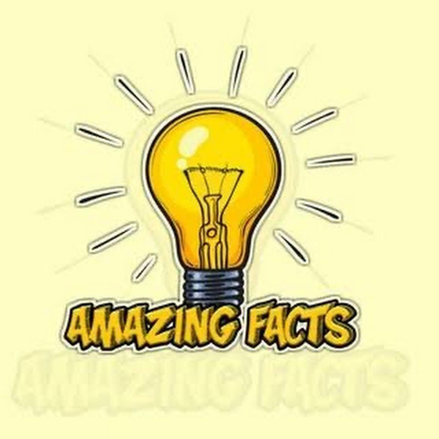 Amazing facts